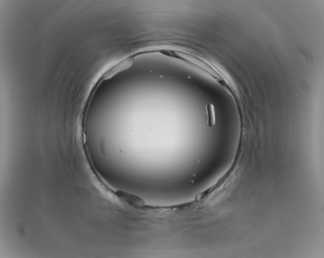 X0000111860813200907231451