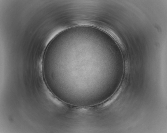 X0000111860814200907231451