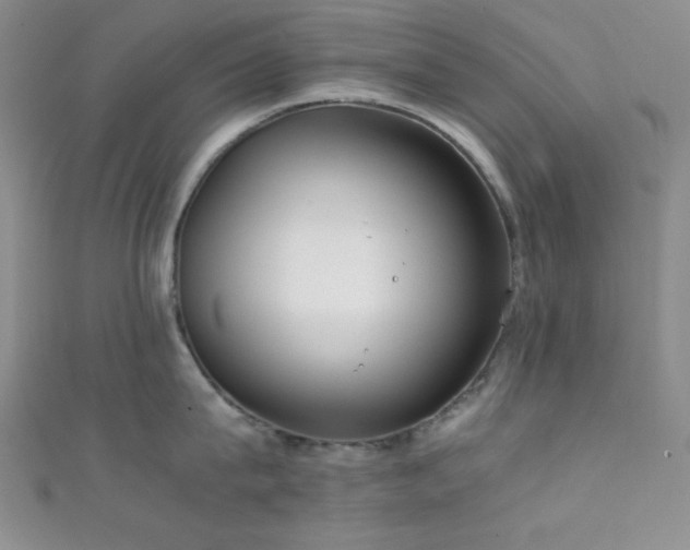 X0000111860815200907231451