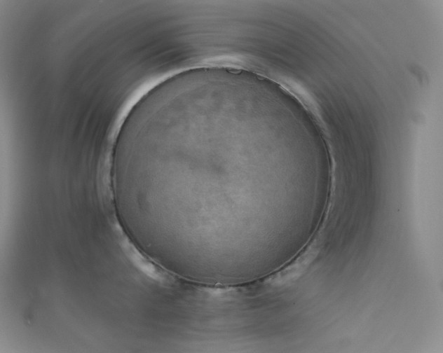 X0000111860816200907231451