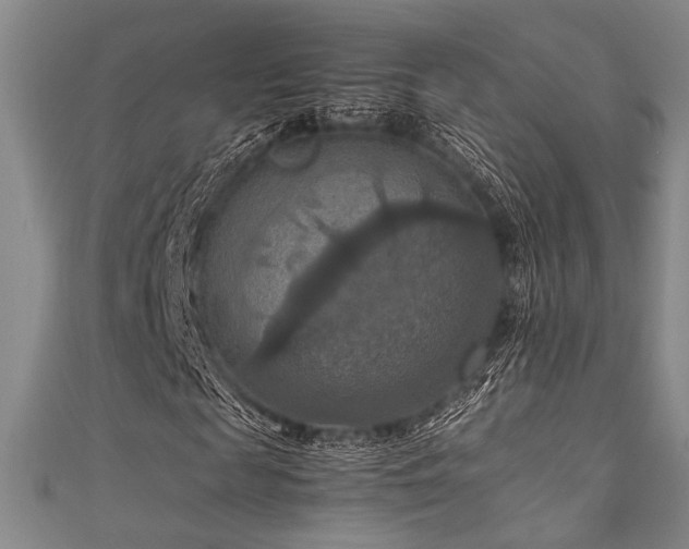 X0000111860817200907231450