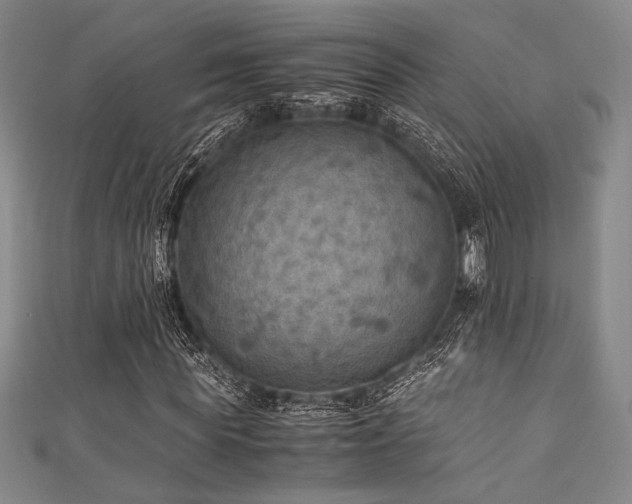 X0000111860819200907231450