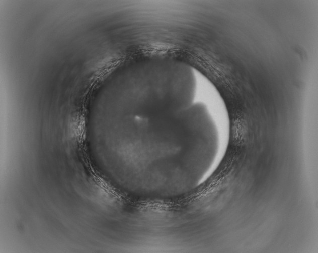 X0000111860820200907231450