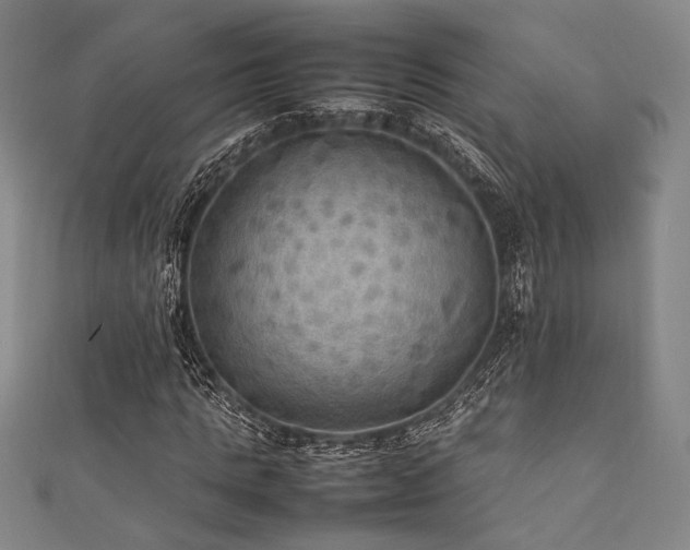 X0000111860821200907231450