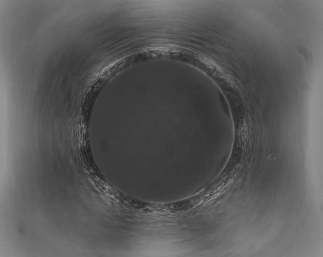 X0000111860822200907231450