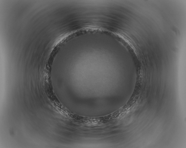 X0000111860823200907231450