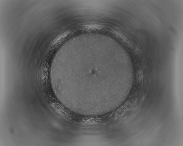 X0000111860824200907231450