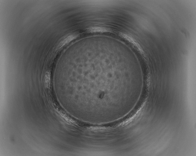 X0000111860825200907231450