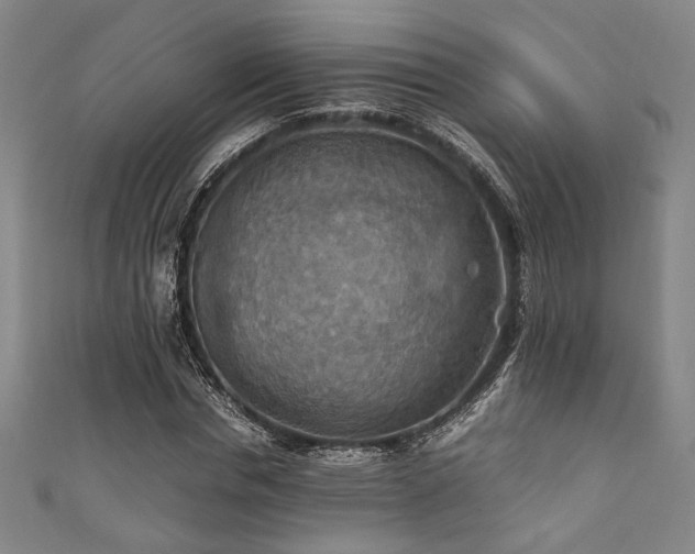 X0000111860826200907231450
