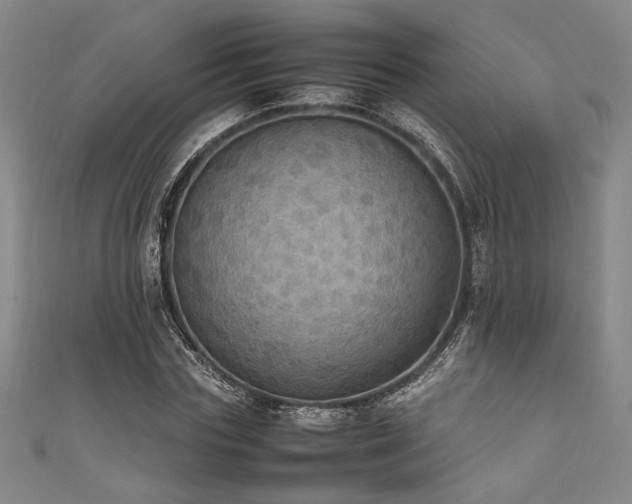 X0000111860827200907231450