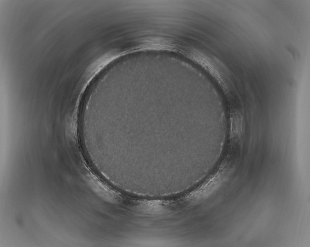 X0000111860828200907231450