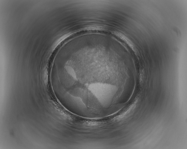X0000111860829200907231450