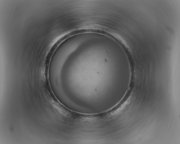 X0000111860830200907231450