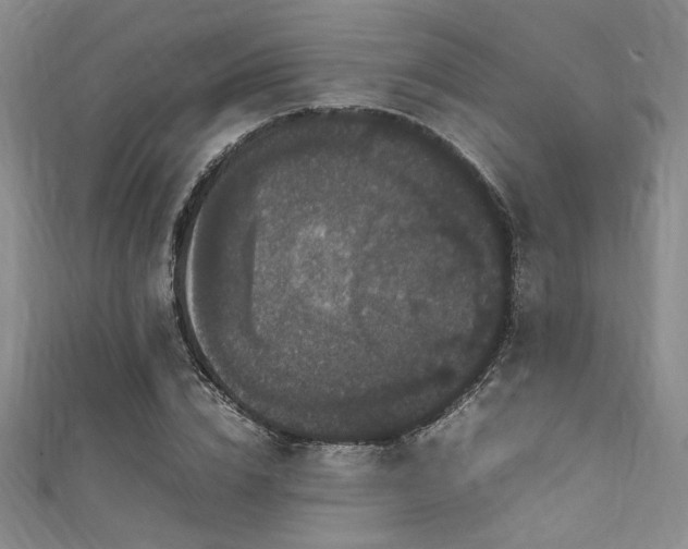 X0000111860832200907231450