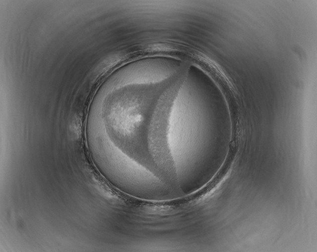 X0000111860833200907231450