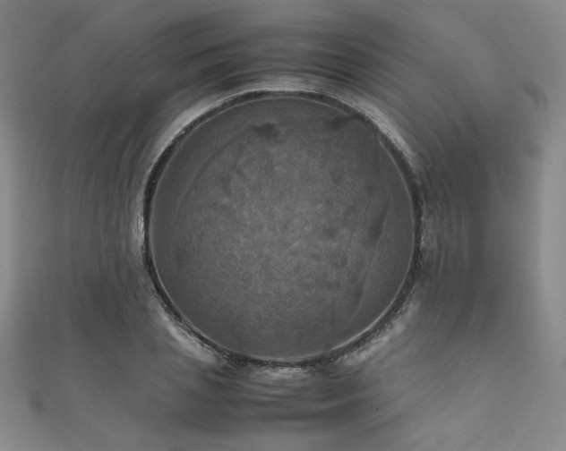 X0000111860837200907231450