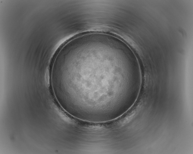 X0000111860838200907231450