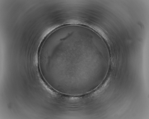 X0000111860839200907231450