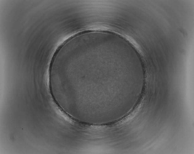 X0000111860840200907231450