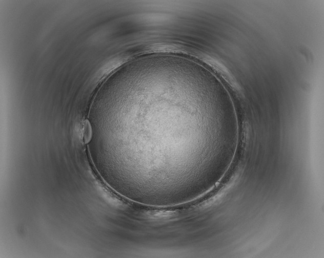 X0000111860841200907231450