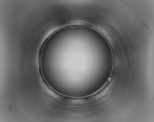 X0000111860843200907231450