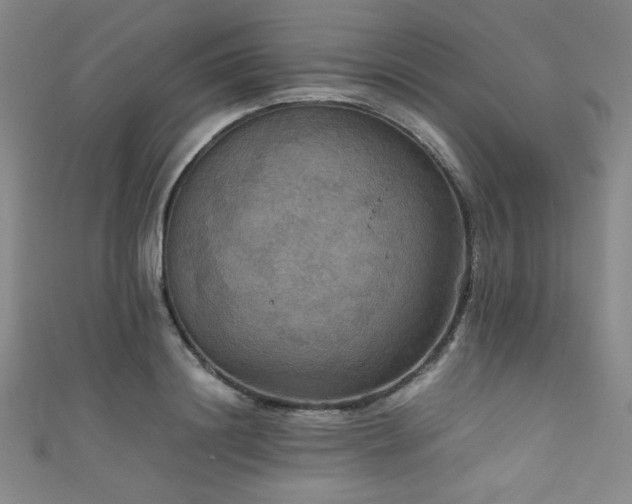 X0000111860844200907231450