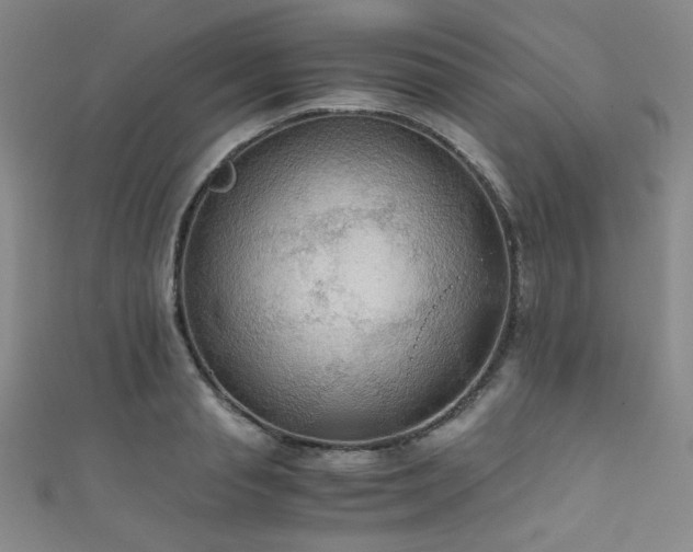 X0000111860845200907231450