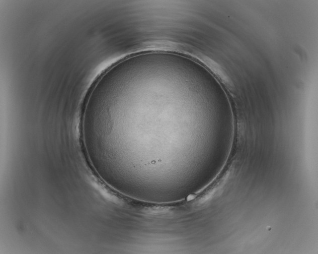 X0000111860846200907231450
