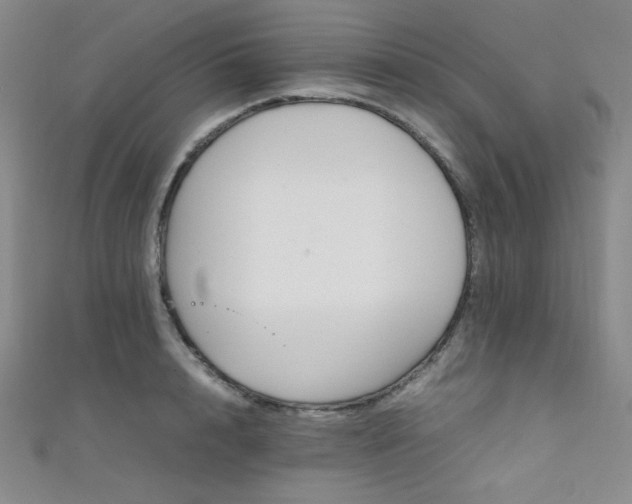 X0000111860848200907231450
