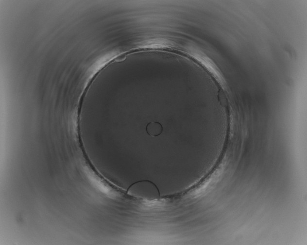 X0000111860850200907231450