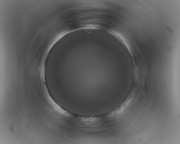 X0000111860851200907231450