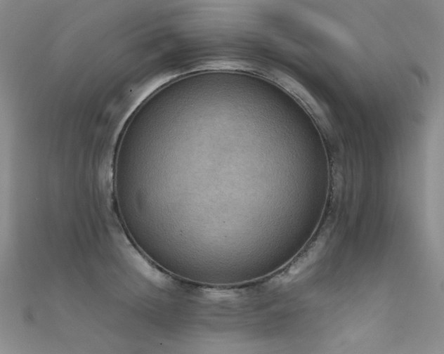X0000111860852200907231450