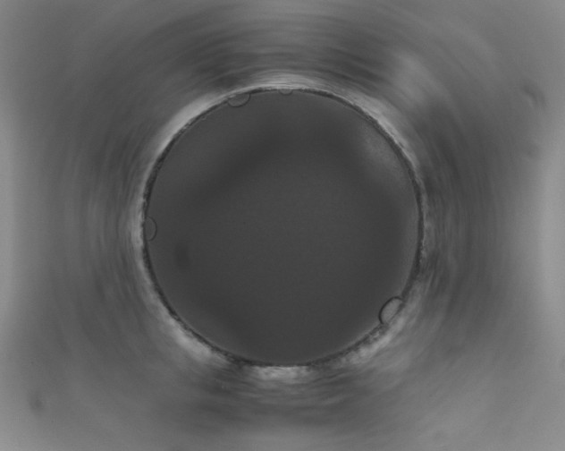 X0000111860853200907231450
