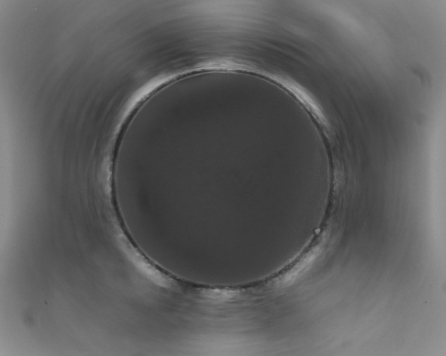 X0000111860854200907231450