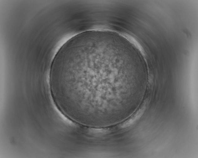 X0000111860855200907231450