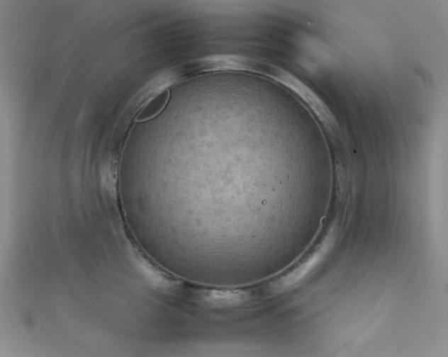 X0000111860857200907231450