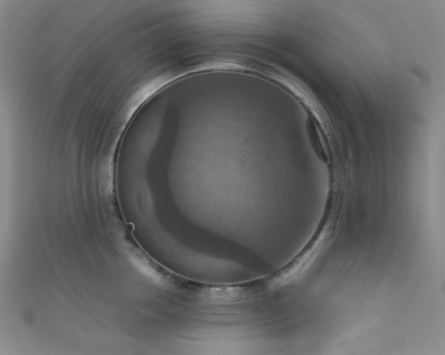 X0000111860858200907231450