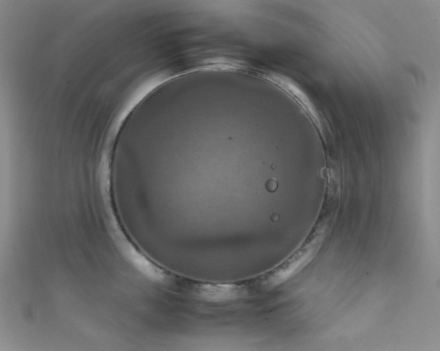 X0000111860859200907231451