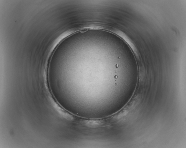 X0000111860861200907231451