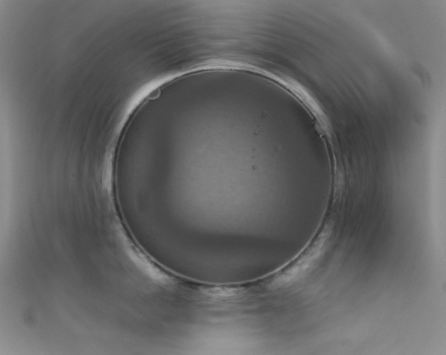 X0000111860862200907231451