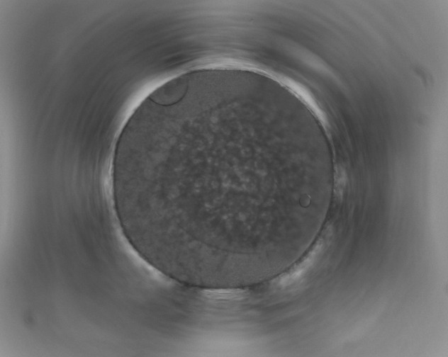 X0000111860863200907231451