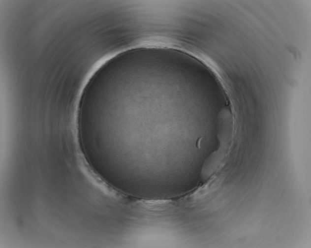 X0000111860864200907231451