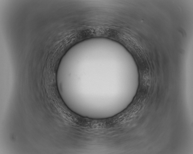 X0000111860865200907231450
