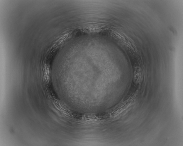 X0000111860866200907231450