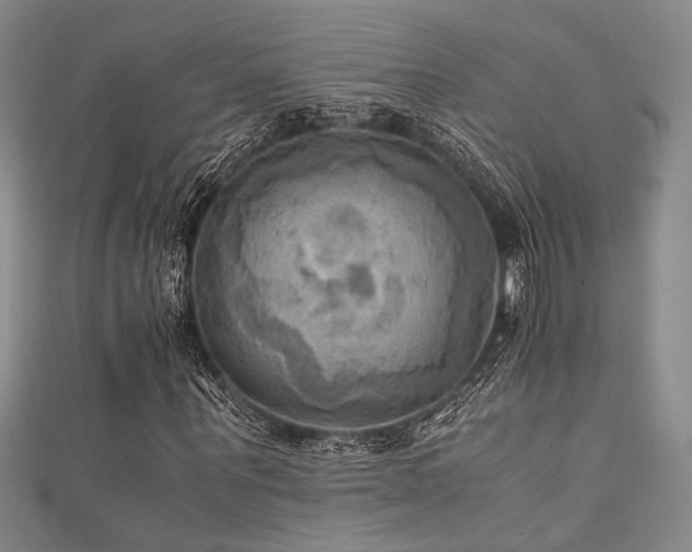 X0000111860867200907231450