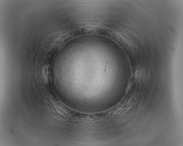 X0000111860868200907231450