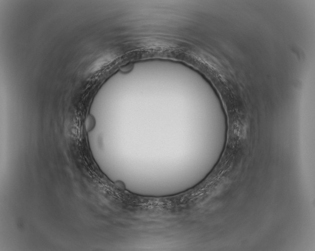 X0000111860869200907231450