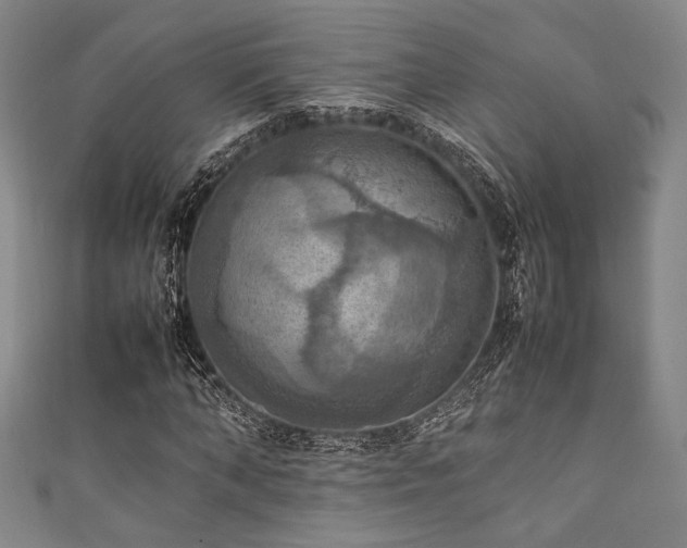 X0000111860870200907231450