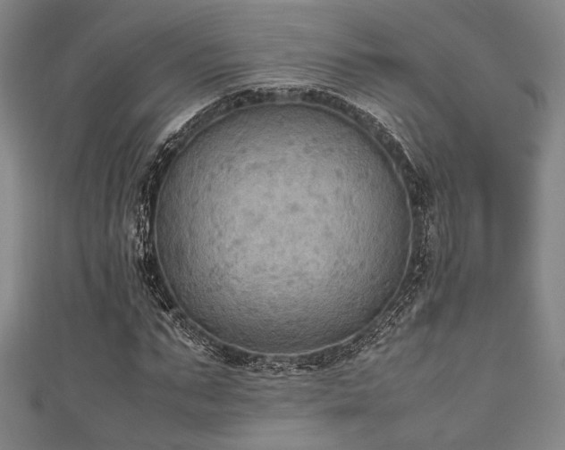 X0000111860871200907231450