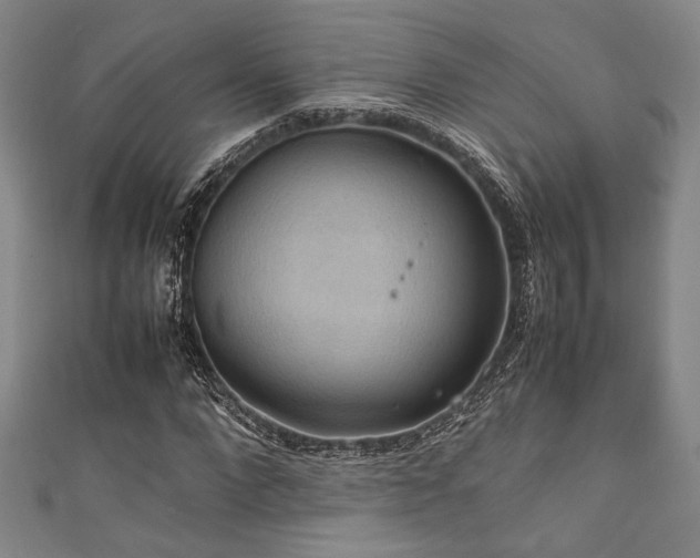 X0000111860872200907231450